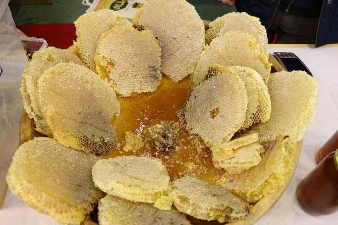 Kahramanmaraş yöresel fuarda ‘arı sütü ve propolis’ tanıtıldı