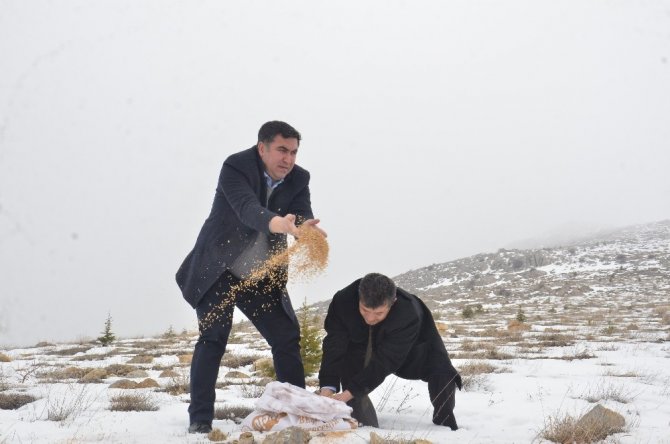 Cezaevi personelinden doğaya yem