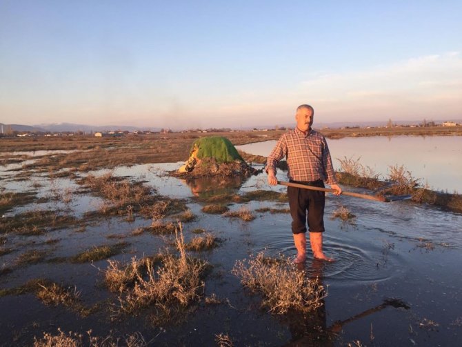 Güme ile yasa dışı ördek avına geçit yok