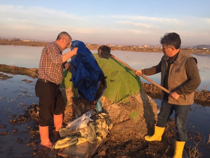 Güme ile yasa dışı ördek avına geçit yok