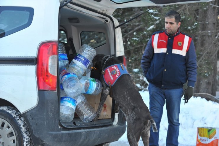 Uludağ’da sezon finali