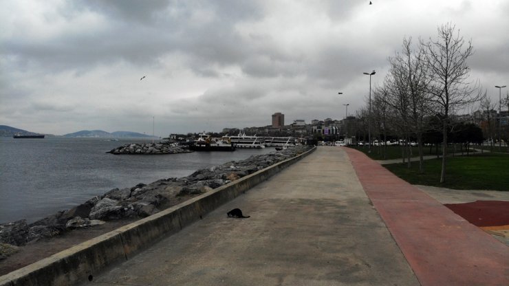 sahiller martılara kaldı