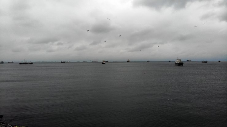 sahiller martılara kaldı