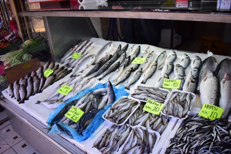 Denizlerde av yasağı başladı