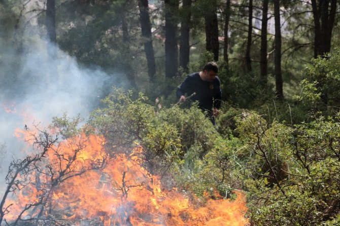 Orman yangınını itfaiye ve vatandaşlar söndürdü
