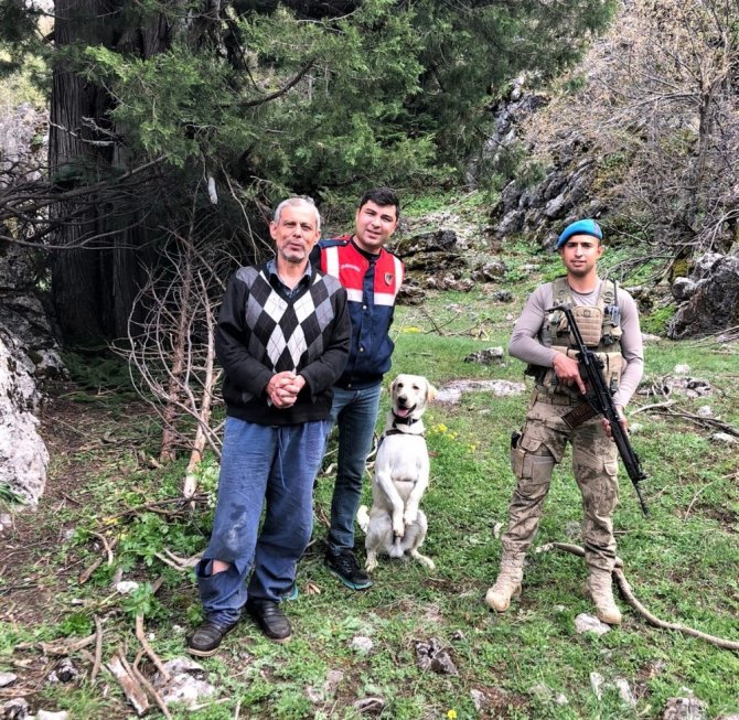 Kaybolan şizofreni hastasını iz arama köpeği yastığından buldu
