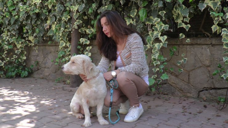 17 yaşındaki kayıp köpeğini bulana 5 bin TL ödül verecek