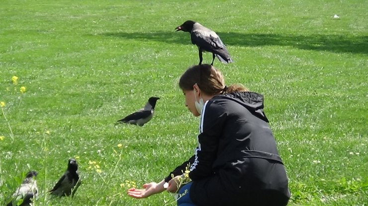 3 yıldır elleriyle beslediği kargayı kısıtlama günlerinde de aç bırakmadı