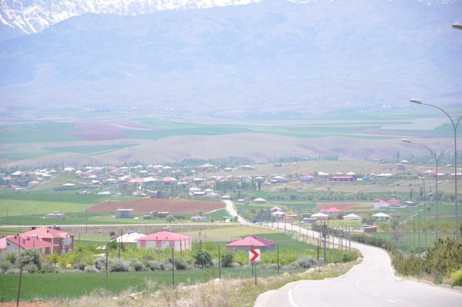 Afşin Höyüklü köyünde Nişan 50 kişiye virüs bulaştırdı