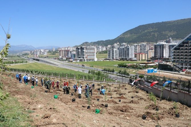 Kahramanmaraş’ta 400 sağlık çalışanı için 400 fidan