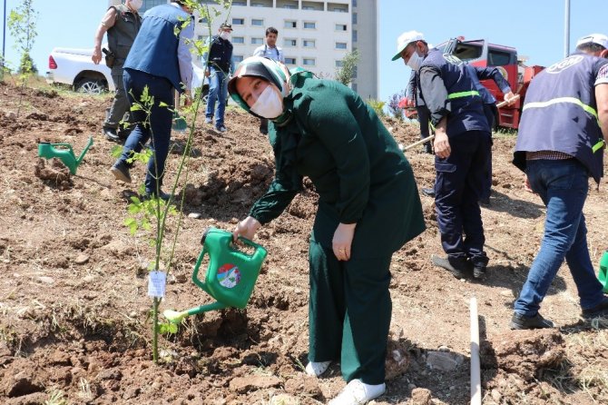 Kahramanmaraş’ta 400 sağlık çalışanı için 400 fidan