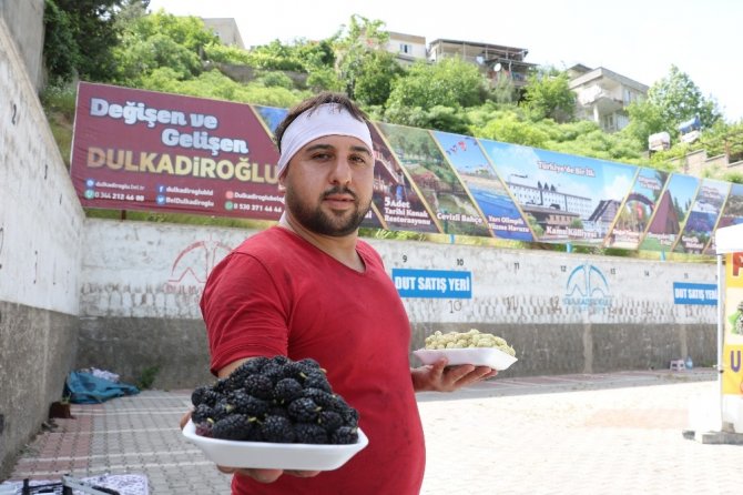 Şifa deposu ‘dut’ tezgahlarda yerini aldı