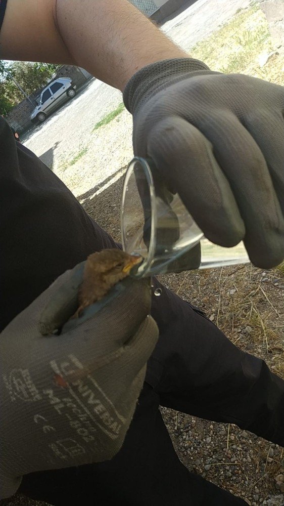 Yavru serçeyi itfaiye kurtardı