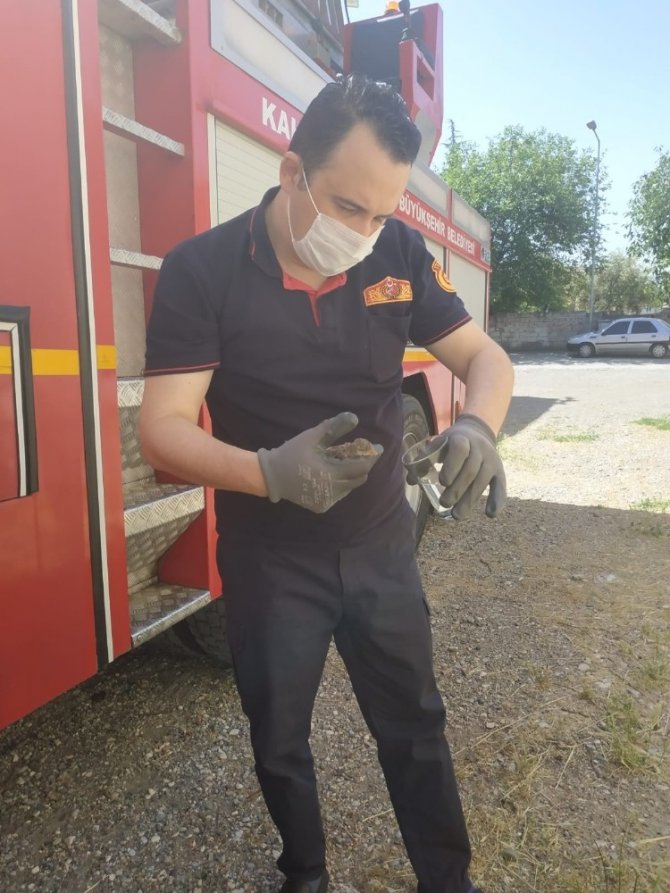 Yavru serçeyi itfaiye kurtardı