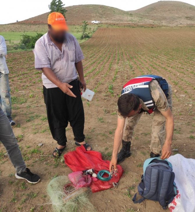 Yumurtlama dönemindeki balıkları avlayanlara ceza yağdı