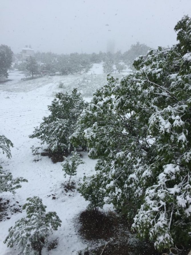 Mayıs’ta kartapu oynadılar