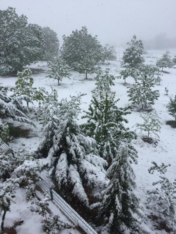 Mayıs’ta kartapu oynadılar