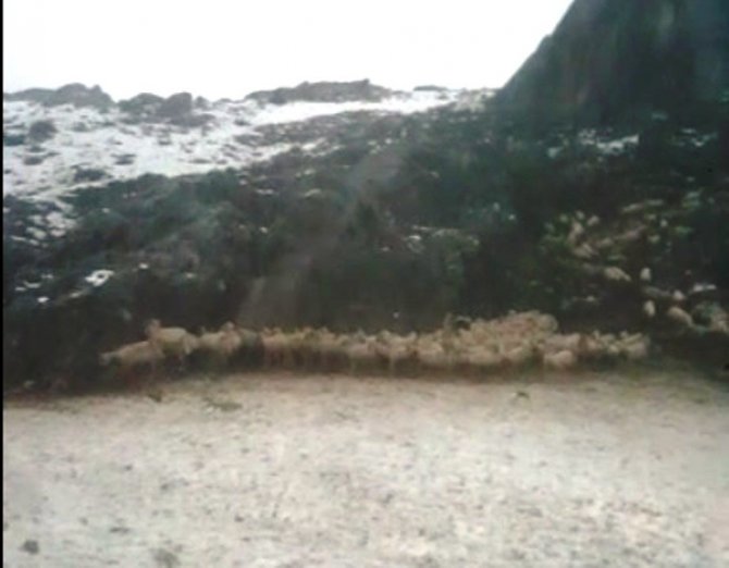 Mayıs ayında Elbistan’da kar  esareti yaşandı, çobanlar ve hayvanlar kurtarıldı