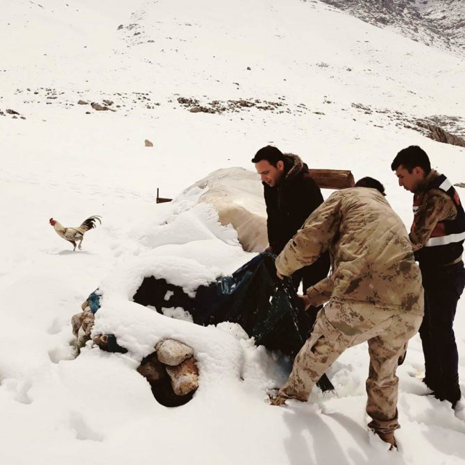 Nurhak Kaymakamı Koç, "Biz arkamızda hiçbir can bırakmayız" notuyla paylaştı