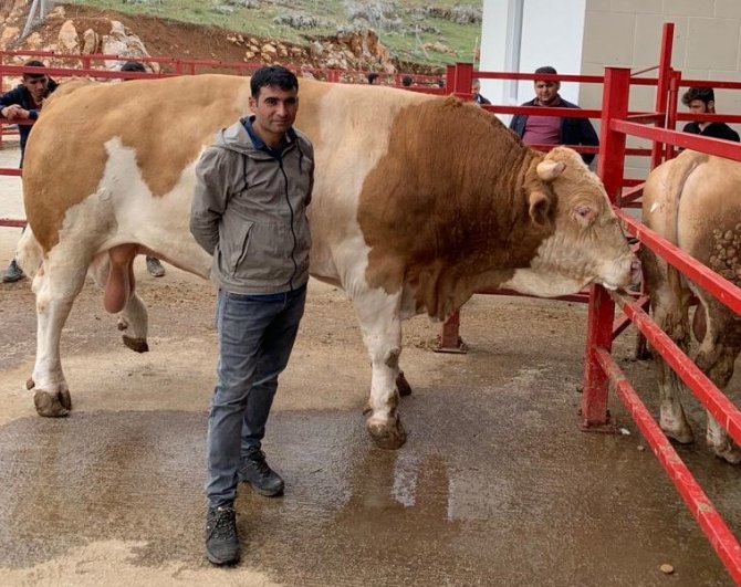 'Zeus' 919,6 kiloyla rekor kırdı