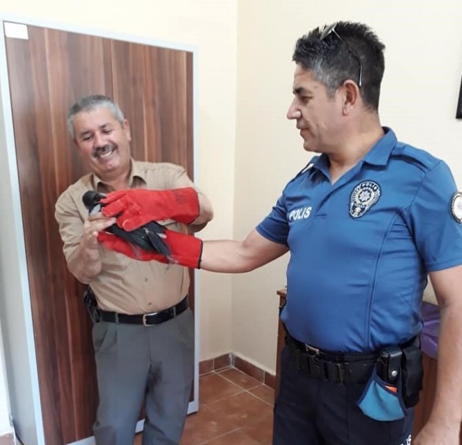 Polis, yaralı şahini görevlilere teslim etti