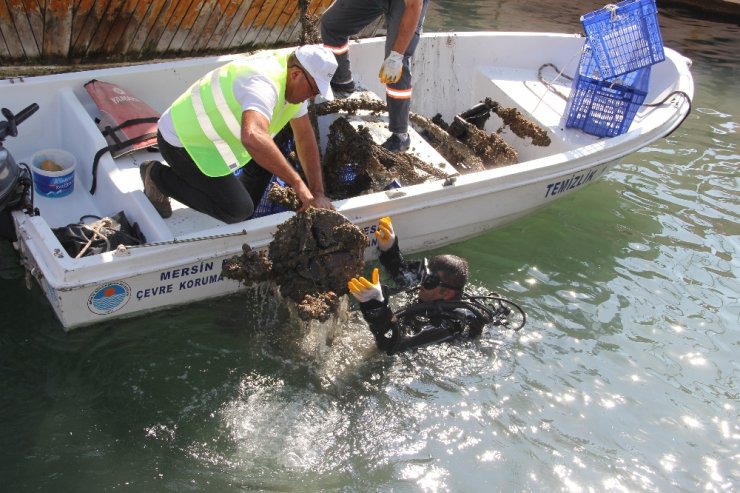 Denizden çıkanlar ‘bu kadarına da pes’ dedirtti