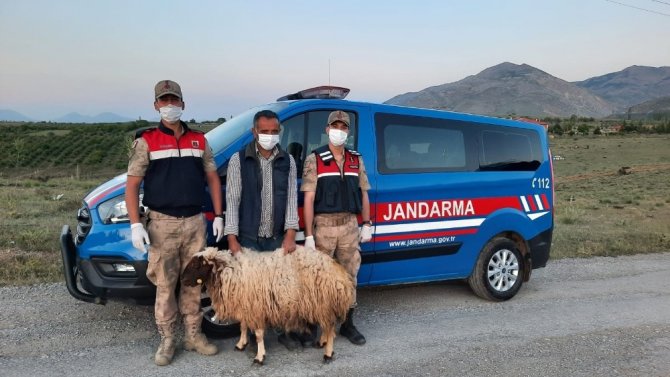 Afşin Esence'de Hayvan hırsızlarına suçüstü yapıldı