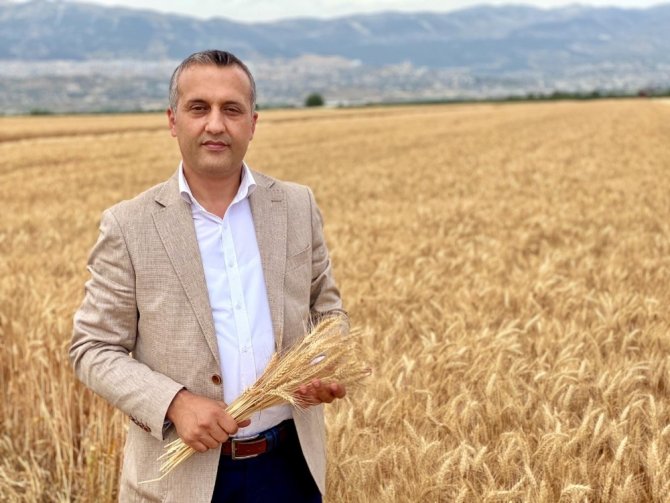 Kahramanmaraş’ta buğday üretiminde ilk 5'de yer alıyor