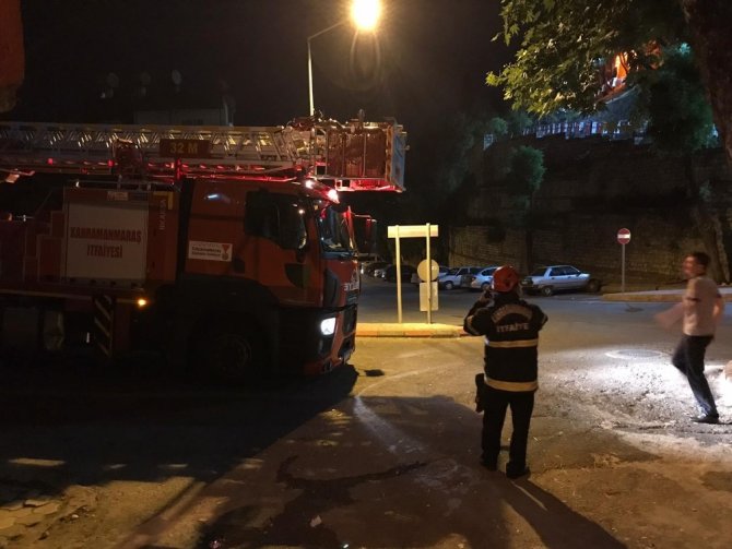 Ağaçta mahsur kalan kediyi itfaiye kurtardı