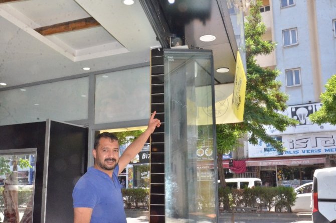 Kumruların yuvasının bozulmasını istemedi