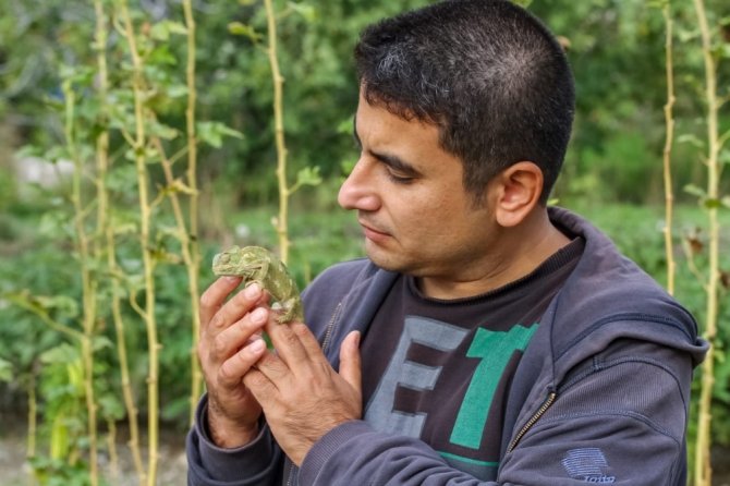 Usta fotoğrafçı Akdeniz bukalemunlarına kafayı taktı
