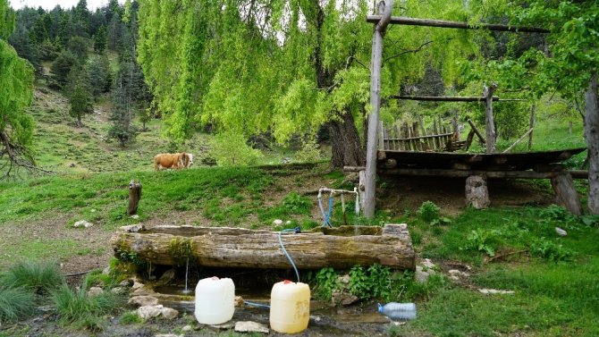 Kahramanmaraş'ta dağ köyünde tek başına yaşıyor