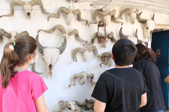 Paça ustası kelleyi sanat eserine dönüştürüyor