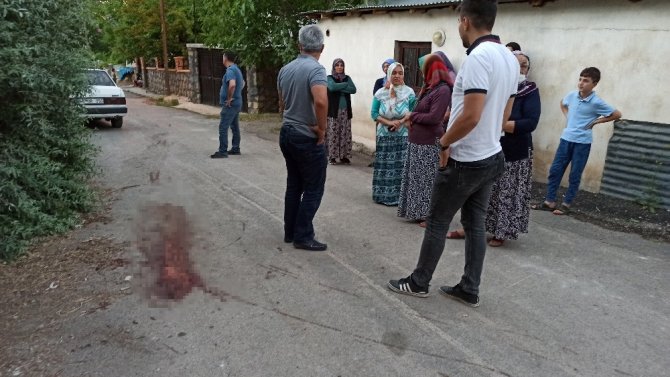 Cinnet getiren öğretmen 40 yıllık komşularına satırla saldırdı