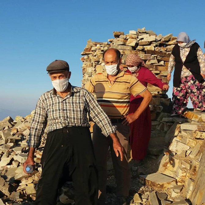 Uğur böceklerinden görsel şölen