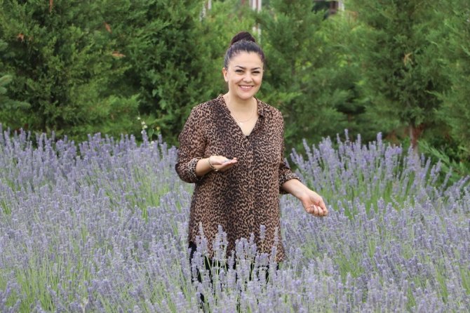 Afşin Belediyesi lavantadan 2 milyon gelir bekliyor