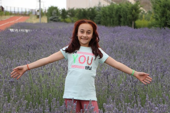 Afşin Belediyesi lavantadan 2 milyon gelir bekliyor