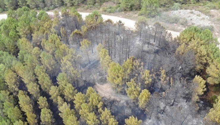 İstanbul’da Aydos Ormanı’nda çıkan yangın kontrol altına alındı