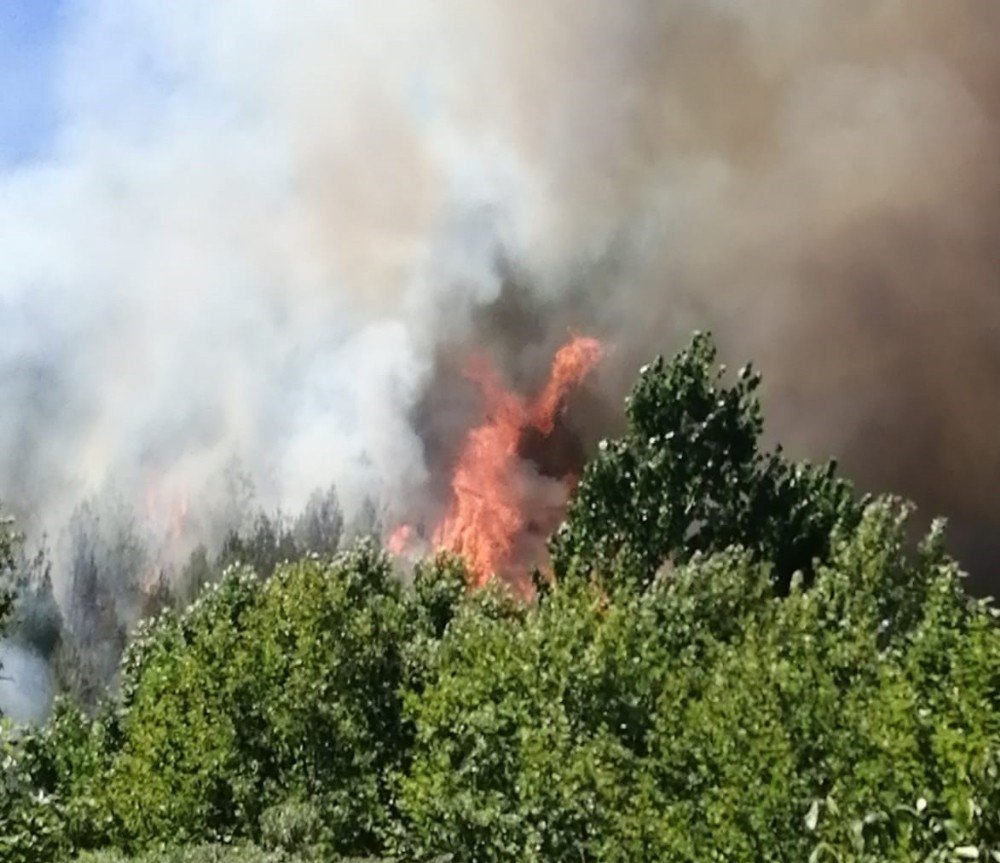 Kahramanmaraş’ta 1 hektar alan zarar gördü