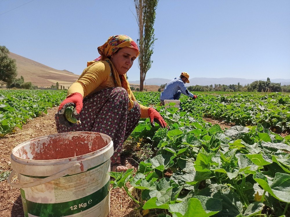 Hayırseverler destek verdi, o emeği ve alın teriyle üretti