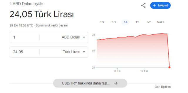dolar-24-liraya-mi-dustu-google-in-hatasi-16481455-4081-m.jpg