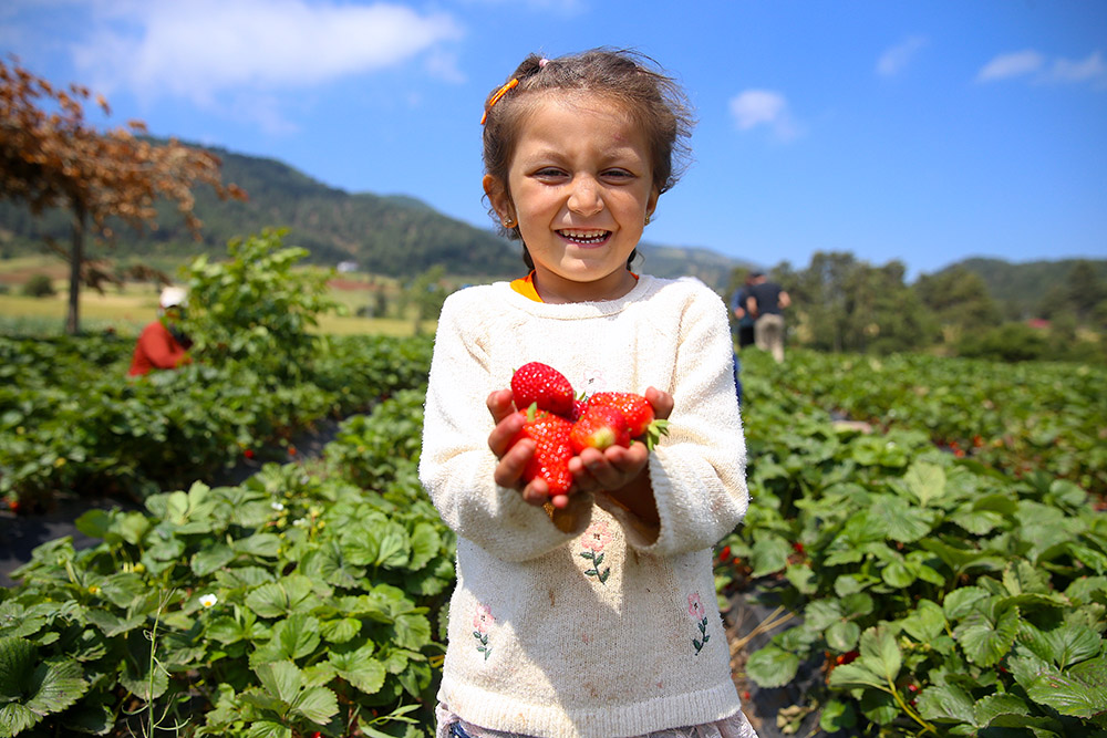 kahramanmarasta-devlet-destegiyle-kurulan-cilek-bahceleri-bolgeyi-ihya-etti-4.jpg